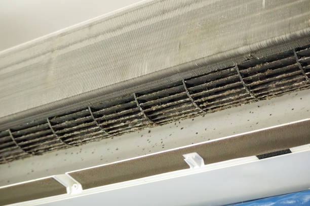 Best Mold and Mildew Removal from Ducts in Frewsburg, NY